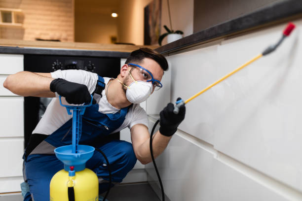 Pest Control for Restaurants in Loris, SC