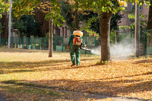 Wasp Removal Services in Loris, SC